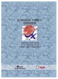 El espacio crítico feminista : Alianzas entre ONGD y organizaciones de mujeres latinoamericanas = Espazio kritiko feminista : Latinoamerikako emakumeen erakunde eta ggkeen arteko aliantzak